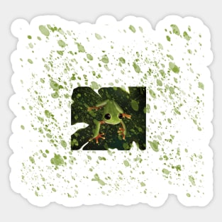 Frogo Sticker